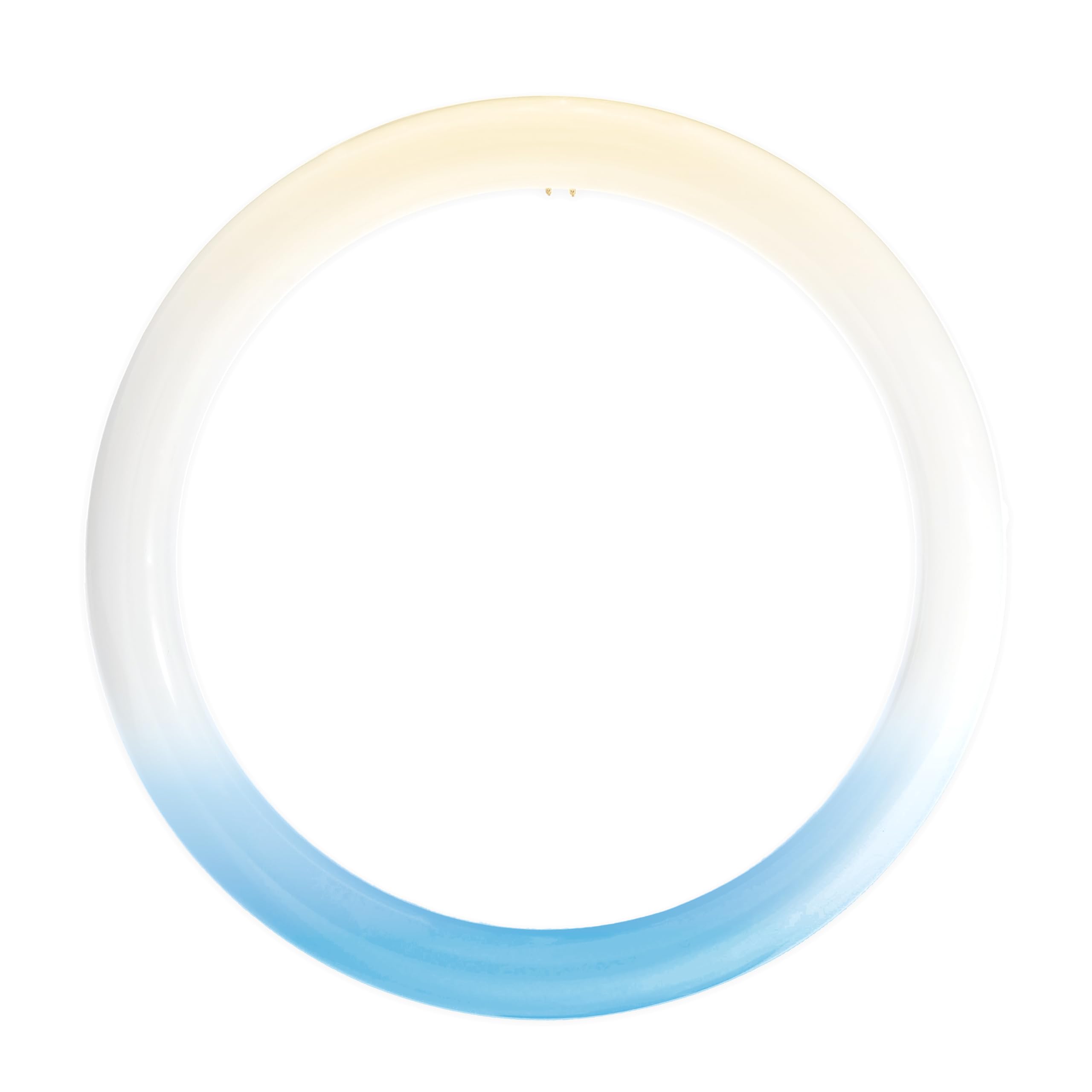 Amazon.co.jp: Sunlite 12インチ T9 LEDサークライン電球、16W、120